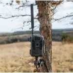 Stealth Cam Pack of 2 Deceptor Max 3.0 Cellular 50MP Trail Cameras w/ 16 GB Internal Storage, 1440p Video, Live Streaming, Rack Alert STC-DCPTRX3C-2PK - Additional Image 1