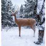 BIGShot Alert Replaceable Vital Deer Target 3D100A