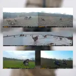 Muddy Trifecta 180 36MP Cellular Trailcam w/180-Degree FoV, 1080p Video with Audio, Dual Network Coverage, On-Demand Function, Zone-Capture MUD-TRF180 - Additional Image 2