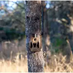 Muddy Matrix 2.0 36MP Cellular Trailcam w/Dual Network Coverage, 1080p Video with Audio, On-Demand Function, 80ft Detection Range MUD-MTRX2 - Additional Image 7