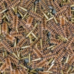 OTIS 100 Pack #40 Brushes IP-341-100