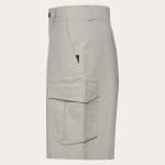 Oakley All Day Cargo Short Cement 40 FOA407896-314-40