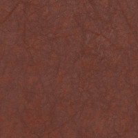 57772 Image