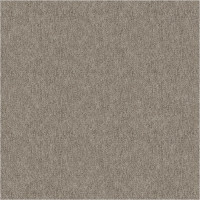 29801 Image