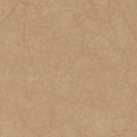 57782 Image