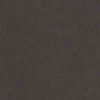 17402 Image