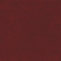 43062 Image