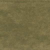 43022 Image