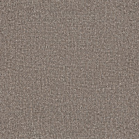 96272 Image