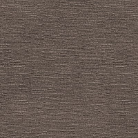 95570 Image