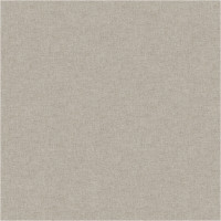 81801 Image