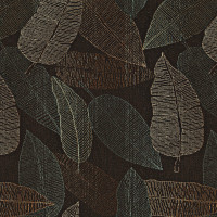 08570 Image