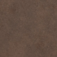 65004 Image