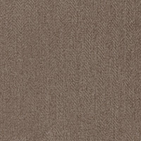 11372 Image