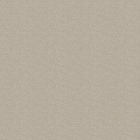 06172 Image