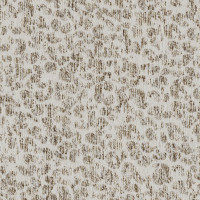 23280 Image