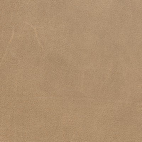 65980 Image