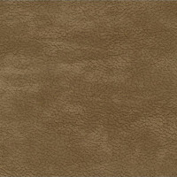 43088 Image
