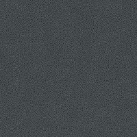 40730 Image