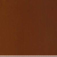 97950 Image