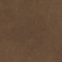 32370 Image
