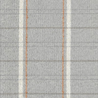 55301 Image