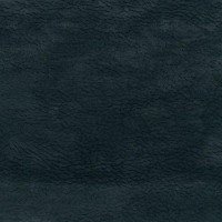 43008 Image