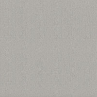 31301 Image