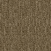 10870 Image