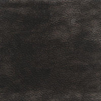 43006 Image