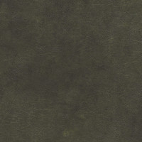 32302 Image