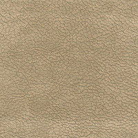 43080 Image