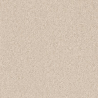 02380 Image