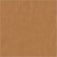 65972 Image