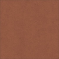 11090 Image