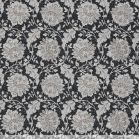 C0500 Image