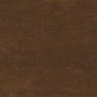43076 Image