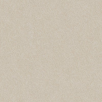 13711 Image