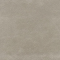 43012 Image