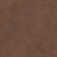 65072 Image