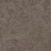81572 Image