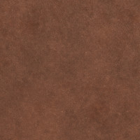 65054 Image