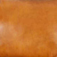 17390 Image
