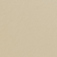 77580 Image
