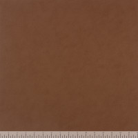 12860 Image
