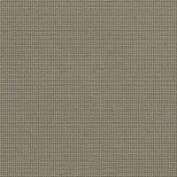 29601 Image