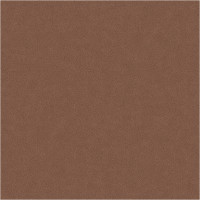 40772 Image