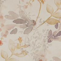 50350 Image