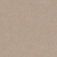 40780 Image