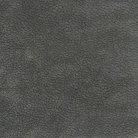 43002 Image